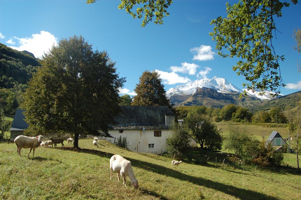 Les Terres Neres Holiday home